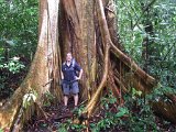 00395-1792 Strangler Fig near Life in the Fast Lane - photo by Garry K Smith